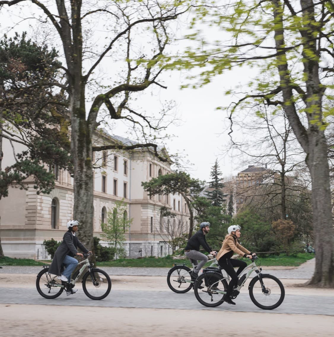 Three people riding bicycles in a sunny park with trees in the background