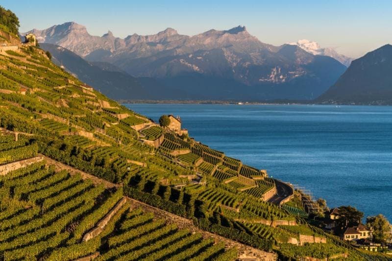 Le Lavaux et ses Vignobles
