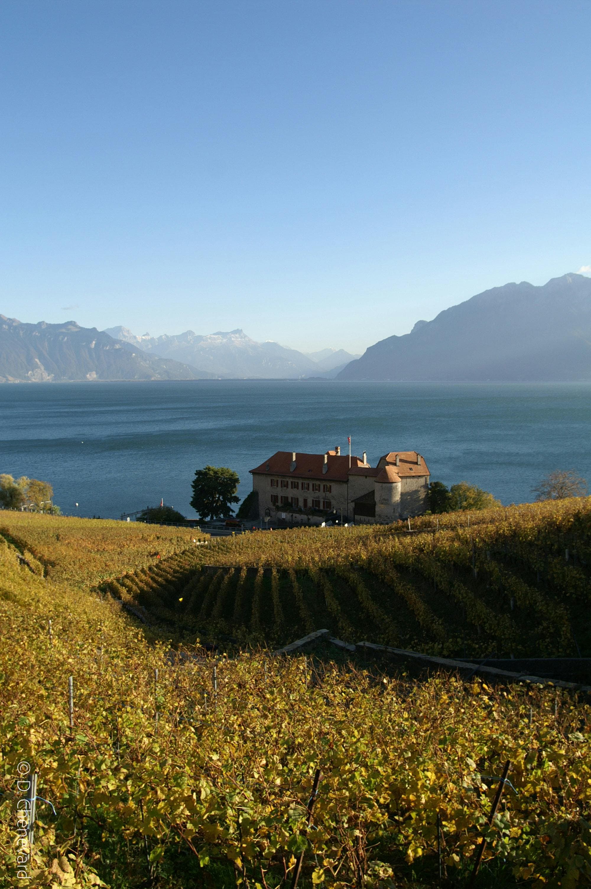 Challenge & Fondue au Cœur du Lavaux